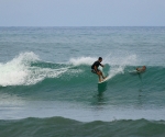 Pavones Surfing