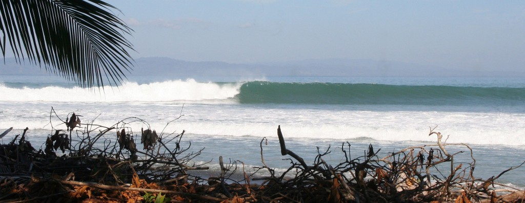 Pavones Surf