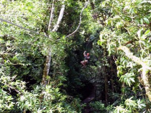 Zip-Lining in Golfito