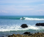 matapalo-surf