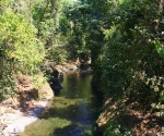 Rio Claro in Pavones