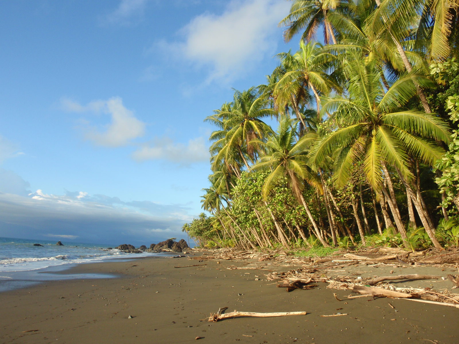 Things to do in Pavones - Attractions in Pavones, Costa Rica